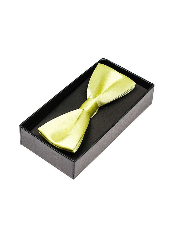Elegancka mucha męska seledynowa Denley M001